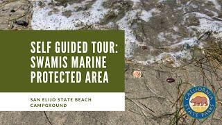 Self Guided Tour: Swamis Marine Protected Area