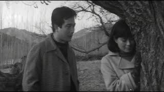 젊은 느티나무(1968) / A Young Zelkova ( Jeolmeun Neutinamu ) (1968)