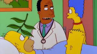 S10E06 - Dr Hibbert - I'm a Doctor, not a Gardener