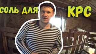 Соль для КРС // Какую покупаем // Как подаём