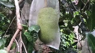 Bán nhà đất nghỉ dưỡng ngay lối ra cao tốc sẵn thổ cư nhà Cấp 4 tại trung tâm TP Bảo Lộc
