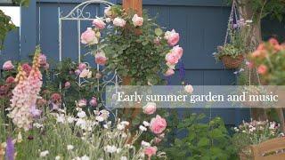 [Playlist] Garden and music in early summer when roses bloom.