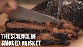 "The Science of Smoked Brisket" by George Motz