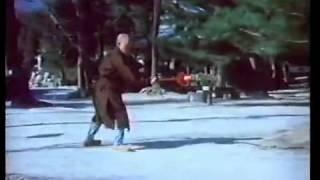 Shaolin Abbot Hai Teng 1of 2