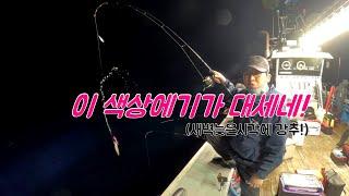 삼천포 출발 ! 점점 조황이 살아나는 한치낚시 ! 서두르세요 !