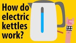 How do electric kettles work? - Kitchen Appliance Explained