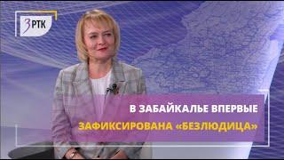 В Забайкалье впервые зафиксирована "безлюдица"