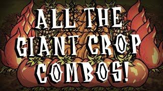The Definitive Giant Crop Combination Guide - Don't Starve Together: Reap What You Sow