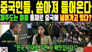[해외감동사연] 중국인들, 한국으로 쏟아져 들어온다. 중국인들에 의해 잠식되어 가고 있는 제주도. 그리고 이대로 가면 다 빼앗길 수 있다는 외국인 교수의 경고