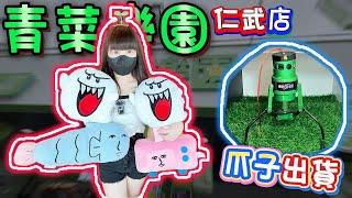 【高雄】將近半年沒來！竟然打到爪子出貨！青菜樂園仁武店！【小隻女蛋蛋】