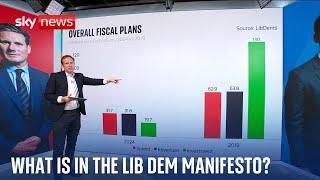 What are the policies in the Lid Dem manifesto? | Vote 24