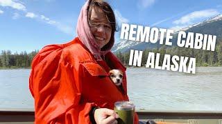 Back to Alaska! REMOTE CABIN in the middle of nowhere. LOTS of views and adventures