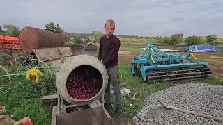 Повний цикл посадки, чеснока вирощування часнику, як заробити на часнику, 1000000 на часнику