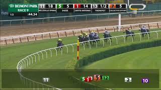 Therapist - 2018 - The NYSS Spectacular Bid Division Stakes