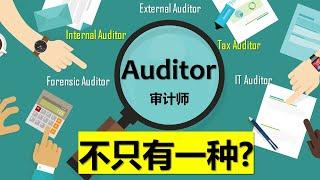 关于Audit 审计 || 不同种类的Auditor