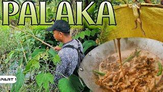 P1-Nangawil ng Palaka sa Sako ng Iba - EP1474