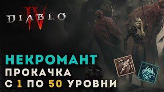 Diablo 4. Прокачка некроманта с 1 по 50 уровни. Копье и скелеты | Диабло 4 | D4 guide necromancer