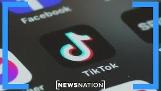 Ban on the horizon for TikTok if change isn't made | NewsNation Now