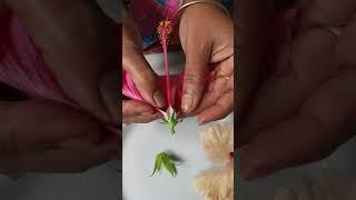 Dissection of hibiscus flower ( without bio lab) Part-6