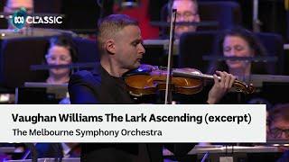 The Lark Ascending (excerpt) performed by the Melbourne Symphony Orchestra