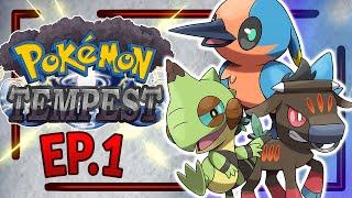 Choose YOUR Starter! A New Greek Pokemon Region! - Pokemon Tempest