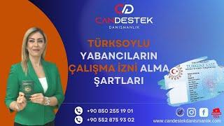 TÜRKSOYLU  YABANCILAR KİMLERDİR? ÇALIŞMA İZNİ ALMA ŞARTLARI NELERDİR? #türksoylu #çalışmaizni