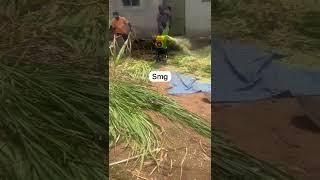 Do you want to boost production ! order a silage machine now