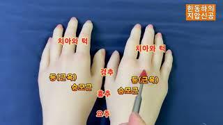 누구나 쉽게 따라하는 손지압요법. 일명 손반사구요법(hand reflexology) - 한동하의 지압신공