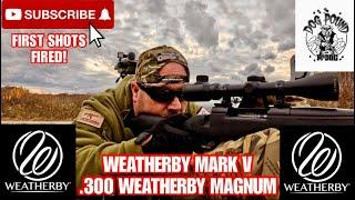 WEATHERBY MARK V .300 WEATHERBY MAGNUM FIRST SHOTS FIRED REVIEW!