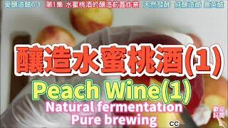 原創 純釀造(全過程) 水蜜桃酒(1)CC 天然發酵Peach Wine (1)ピーチワイン（1）Vino de Durazno (1) [愛釀造醋6-1]台灣南庄豐英醋