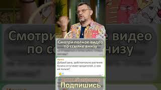 БУЗИНА - в чем секрет? #дачныйагроном #бузина #лайфхаки #рекомендуем