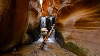 Share the Beauty of Cedar City and Southern Utah