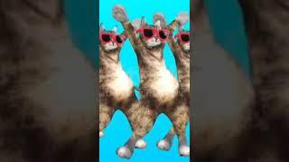 8-D song  Arjan Vailly song dance performance ️ #viral #animal