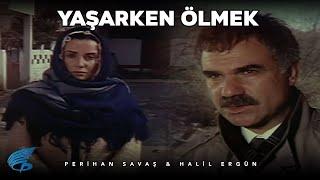 Yaşarken Ölmek - Türk Filmi