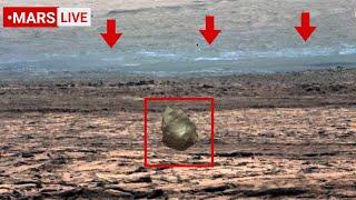 NASA Mars Rover Sends Most Incredible Footage Of Mars' Geology! Perseverance Curiosity' Mars In 4K