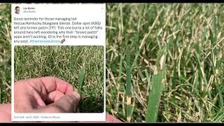 Pillar SC Intrinsic brand fungicide – Technical overview