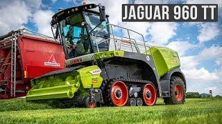 1. Schnitt bei @Landwirtinmv || Claas Jaguar 960 TT || FENDT 930 || 4K