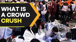 Explained | How is a crowd crush different from a stampede? | WION Originals