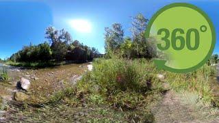 Rouge National Urban Park Tour in 360