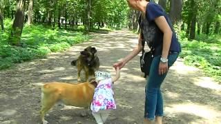 Первый день рождения Алексы
