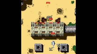 Kyukyoku Tiger (Japan) [MAME] [shortplay]