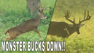 2 Bucks Down on Opening Weekend of Texas Whitetail Season! | Texas Hidden Springs Ranch