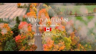 Vivid Autumn Colors, Fall Colors from Ontario Canada