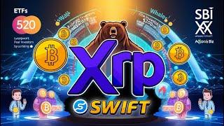 XRP Ripple und SWIFT️,XRP-ETFs,Wale kaufen 520 Mio. XRPs,SBI XRP, Bärenmarkt?,Project Agorá BIZ