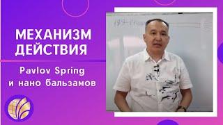 Global Trend Company/Механизм действия Pavlov Spring и нано бальзамов