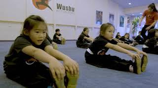 wushu kids training video