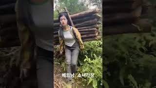 베트남 농촌처녀