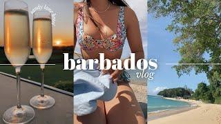 INSIDE SANDY LANE BARBADOS | luxury Barbados travel vlog