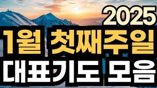 1월 대표기도 예시ㅣ1월 첫째주 주일예배기도 모음ㅣ1월 1주 대표기도문 모음ㅣ대표기도가 어려운분들을 위한 기도예시문ㅣ2025년 주일 예배 대표기도 준비