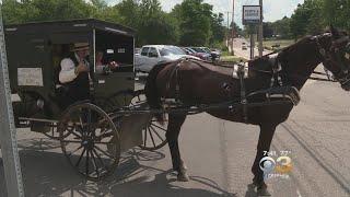 Amish Uber: Man Uses Horse And Buggy To Give Customers A Lift